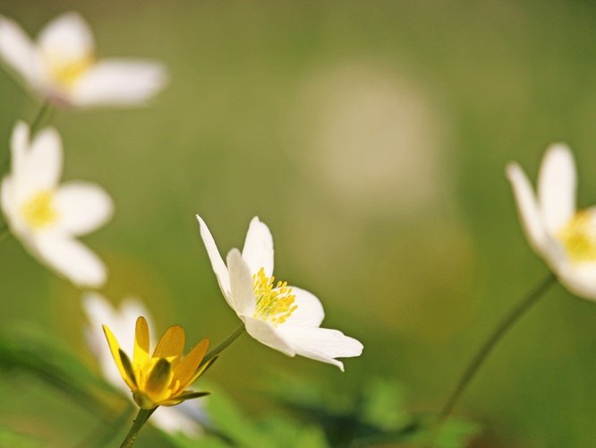 Bài viết 43
