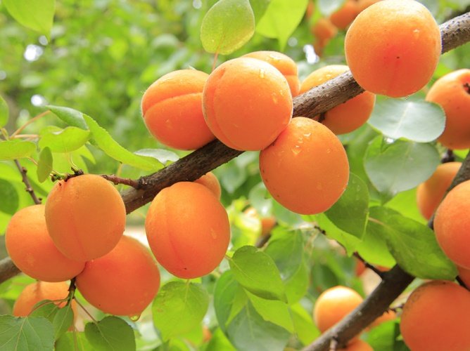 Bài viết 85